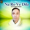 About Na Ro Ve Dila Song