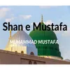 About Shan e Mustafa Song