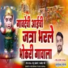 About Gaavdevi Aaichi Jatra Bharle Bhokari Gavala Song