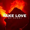 About Fake Love Song