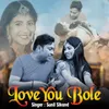 About Love You Bole Song