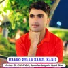 About Maaro Pyaar Kabul Kar L Song