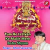 About Tum Ho Is Jivan Ke Malik Mere Baba Shyam Song