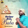 About Haripur Wala Baba BR Dimana Song