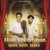 About Main Chiththiyan Likh Likh Hari Song