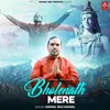 About Bholenath Mere Song
