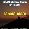 About Sanam Mere Song
