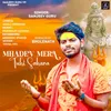 About Mahadev Mera Tuhi Sahara Song