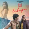 About Dil Tuteya Song