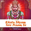 About Khatu Shyam Tere Naam Se Song