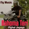 About Bahoma Teri Pighal Jayega Song