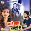 About Kahe Jan Tarpabe Chhe Song