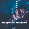 About Haaye Mai Marjawa Song
