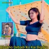 About Dhokho Debadi Ko Kai Bigdyo Song