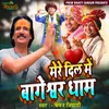 About Mere Dill Me Bagheshwar Dhaam Song