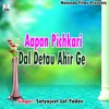 About Aapan Pichkari Dal Detau Ahir Ge Song