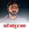 About Kaha Gailu E Jaan Song