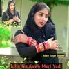 About Tohe Na Aawe Meri Yad Song