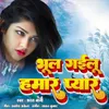 About Bhul Gailu Hamar Pyar Song