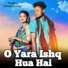 About O Yara Ishq Hua Hai Song