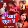 About Tera Pyaar Jhutha Hai Song