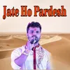 About Jate Ho Pardesh Song