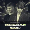 About Bagalwali Jaan Maareli Song