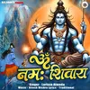 About Om Namah Shiway Song