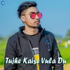 About Tujhe Kaise Vula Du Song
