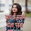 About Say Ke Saman Dila Padto Song