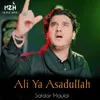 Ali Ya Asadullah