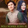 About Mola Mushkil Kusha Ay Song