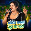 About Sanehiya Lagawal Bahut Bat Naikhe Song