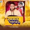 About Saman Bhail Bade Bade Song