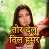 About Tor Delu Dil Hamar Song