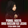 About pamal hogya Song