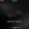 About Never Need Song