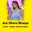 About Are Chora Bhaiya Song