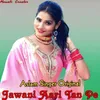 About Jawani Aari Tan Pe Song