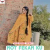 About Not Fekan Ku Song