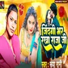 About Jindagi Bhar Rakha Raja Ji Song