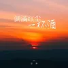 About 倒满红尘一杯酒 Song