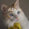 About Albus Song