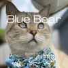 About Blue Bear Song