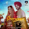 About Sherwani Song
