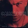 About Calm Down Song