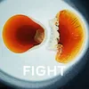 FIGHT