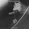 About Promise Song