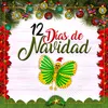About Los 12 Días De Navidad Song