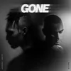 About Gone Song